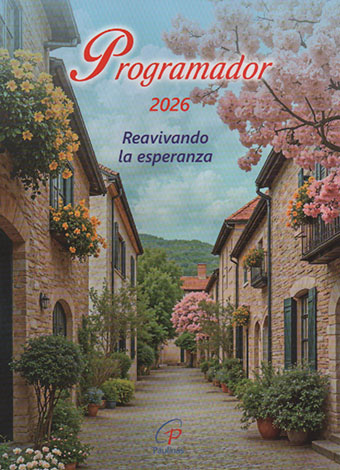 PROGRAMADOR DE ESCRITORIO 2026